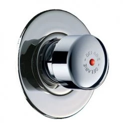 Robinet de douche temporisé encastré pour panneau TEMPOSTOP Delabie - 749770