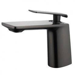 Mitigeur de lavabo PERMESSE Hudor gun black monocommande - 3 701 394 911 404